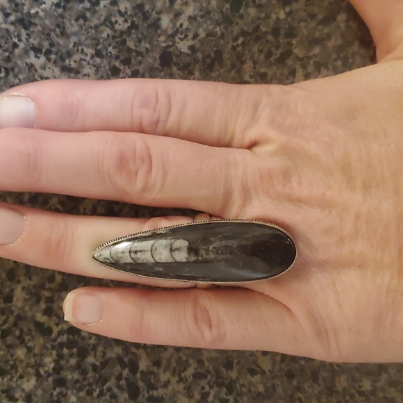 New Huge Orthoceras Fossil 925 Silver Statement Ring. - Picture 5 of 10